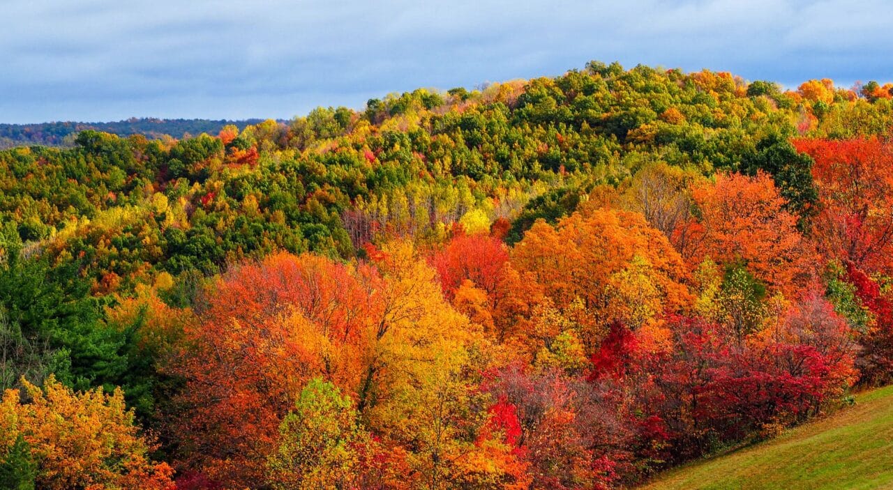autumn colors in hocking hills, ohio
