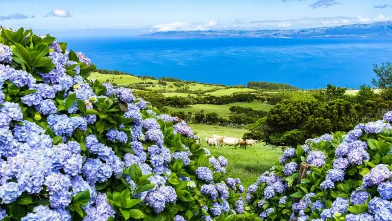 things-to-do-in-azores